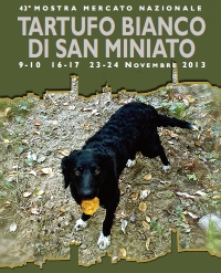 43 MOSTRA MERCATO DEL TARTUFO BIANCO